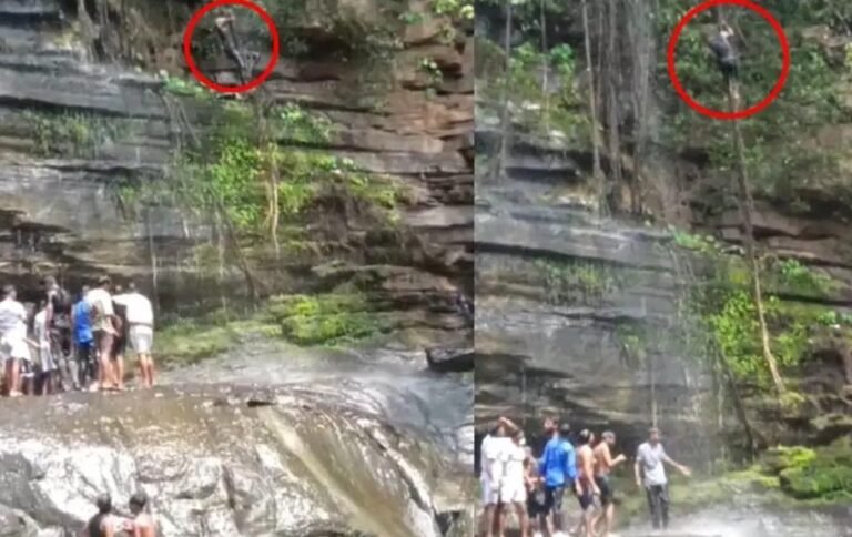 मौत को दावत : वाटरफॉल में ‘बाहुबली’ की तरह पेड़ की जटा पर युवक का स्टंट, वीडियो हुआ वायरल, सुरक्षा व्यवस्था पर उठे सवाल