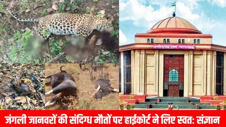 जंगली जानवरों की संदिग्ध मौतों पर हाईकोर्ट सख्त, स्वतः संज्ञान लेकर पीसीसीएफ से मांगा हलफनामा
