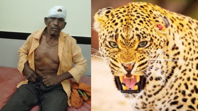 जंगल से नीम की पत्तियां लाने गया था ग्रामीण, अचानक खूंखार तेंदुए ने कर दिया हमला, हालत गंभीर
